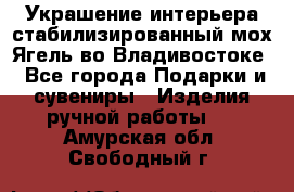 Украшение интерьера стабилизированный мох Ягель во Владивостоке - Все города Подарки и сувениры » Изделия ручной работы   . Амурская обл.,Свободный г.